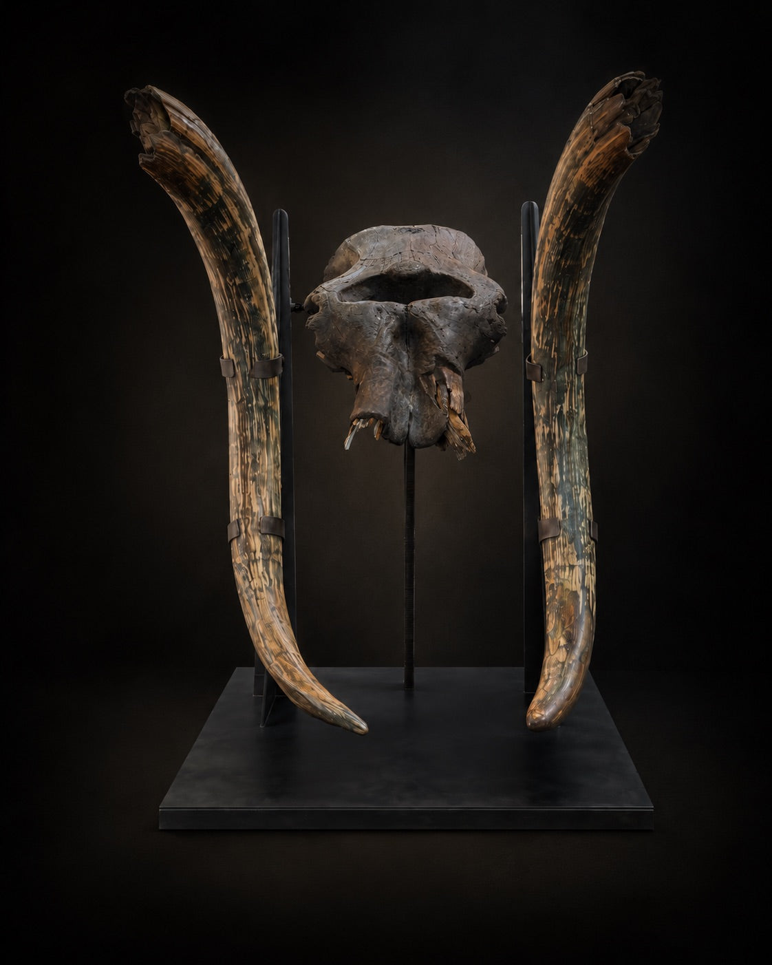 Fossils